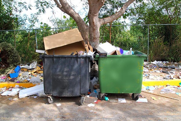 Commercial Junk Removal Service Tampa FL
